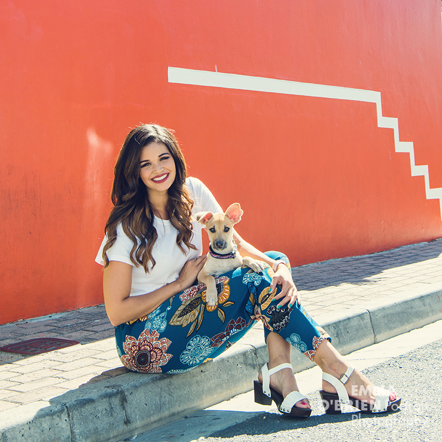 cape town dog photographer