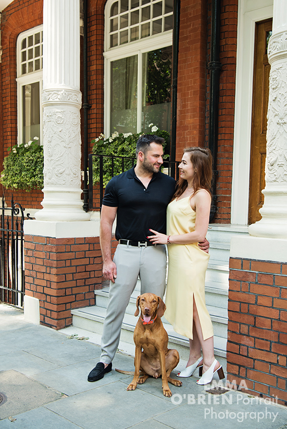 dog portrait photography chelsea london
