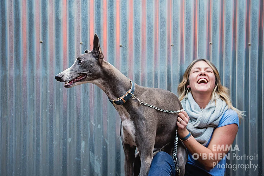 dog portrait photography on location johannesburg