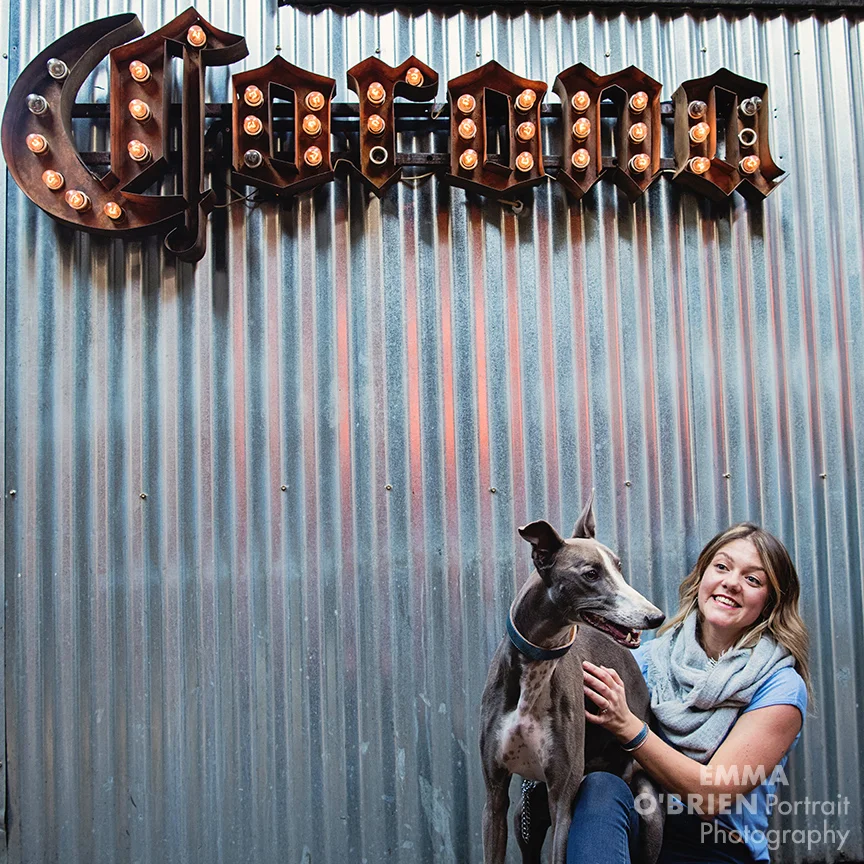 dog portrait photography on location johannesburg
