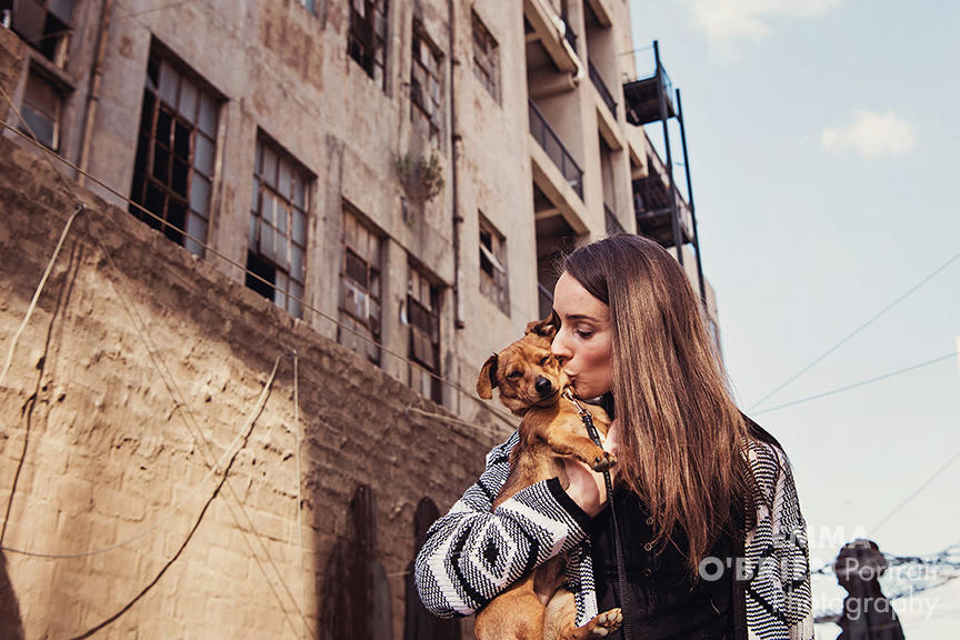 dog portrait photographer johannesburg