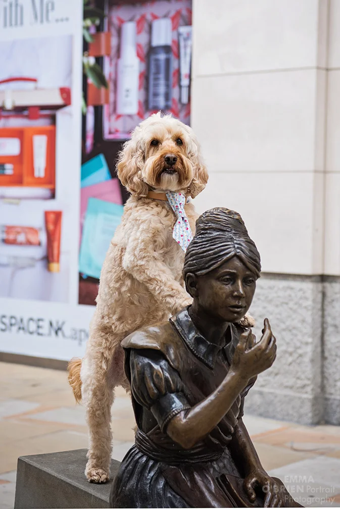 London dog photographer