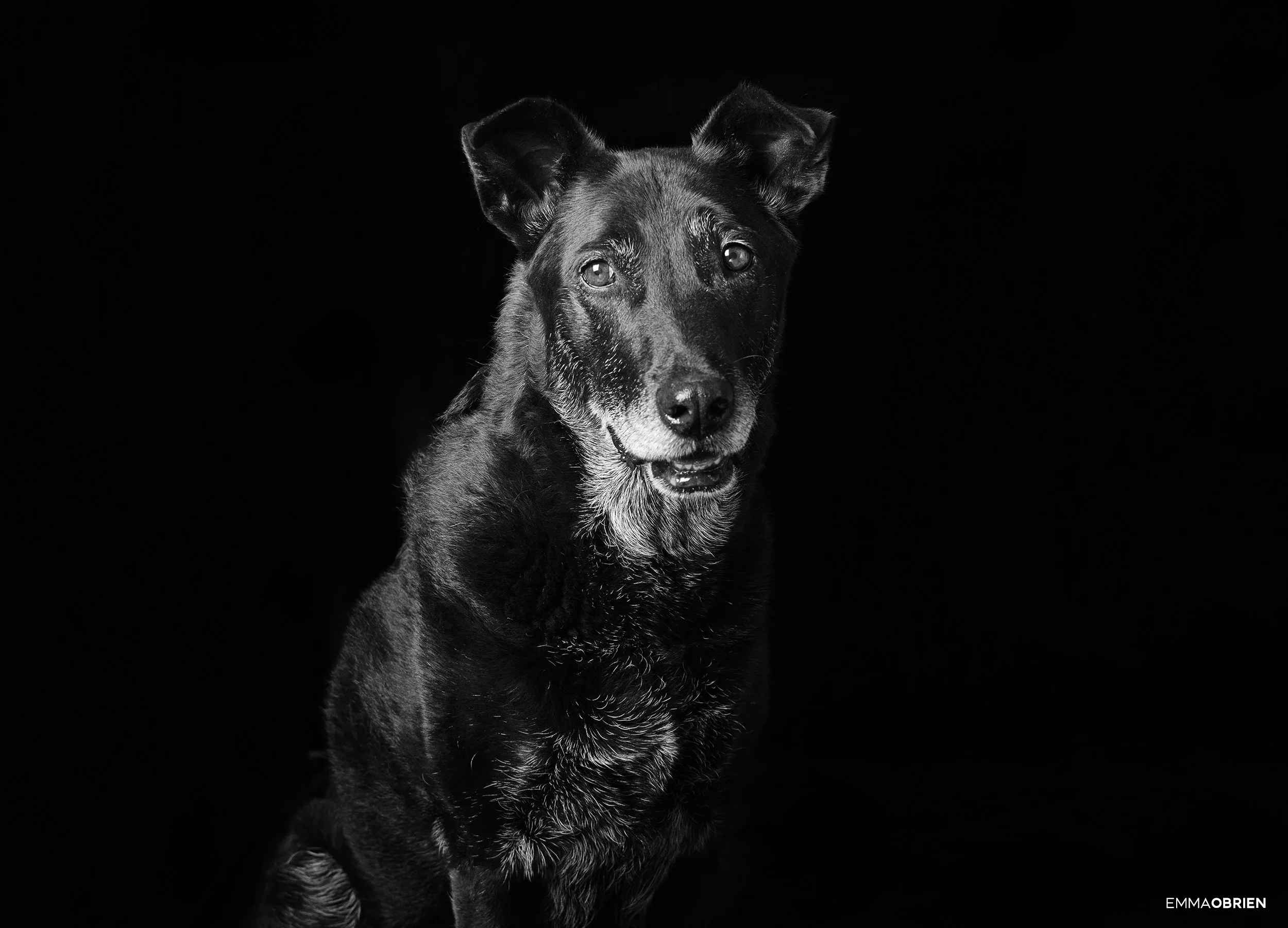 DSC_9112.jpg