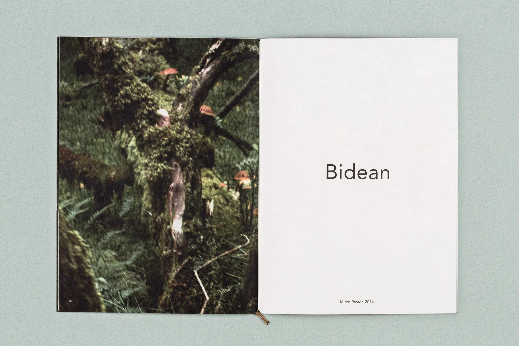 01-16 Bidean.jpg