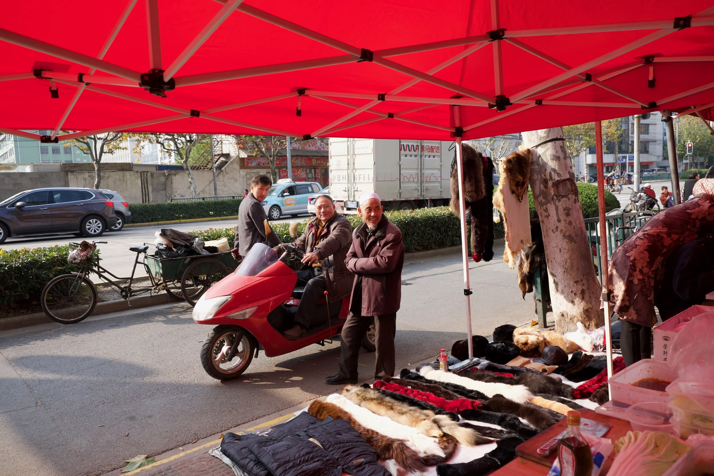 DSCF8551.jpg