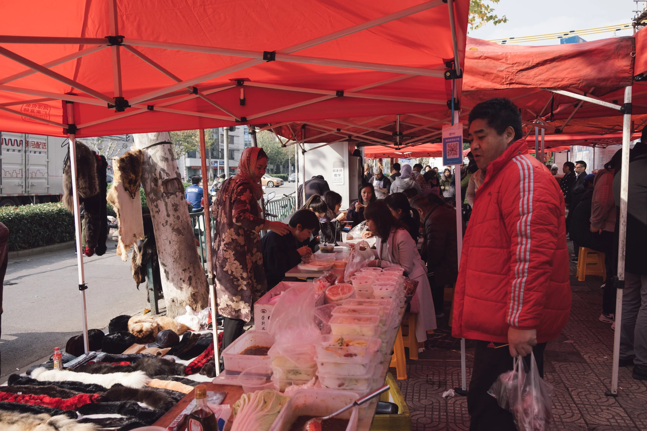 DSCF8548.jpg