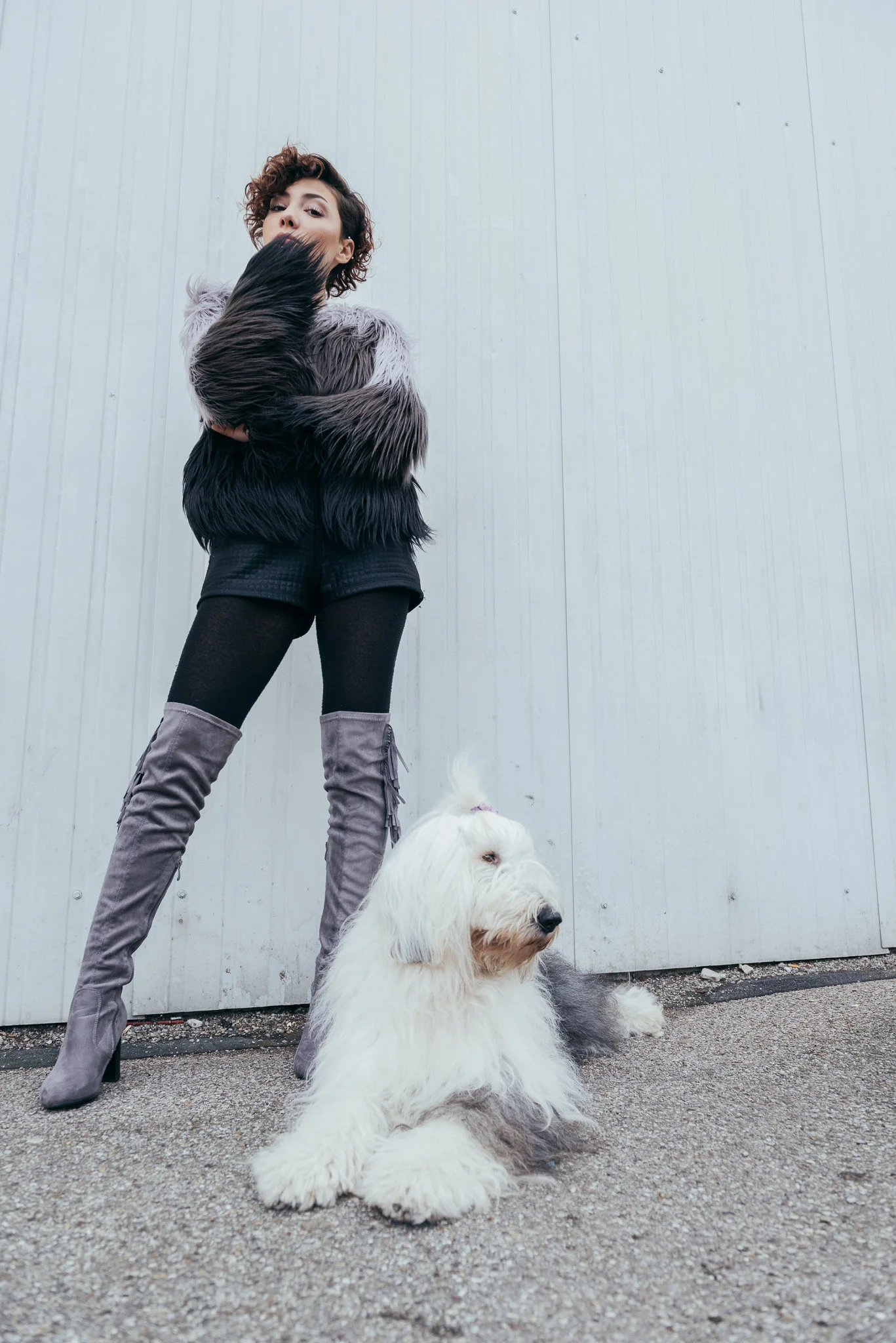 Knitwear 2018 by Handgschdrickt.de / #bobtail #old english sheepdog #photoshoot for Handgschdrickt.de