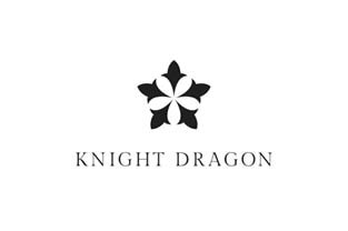 Knight Dragon