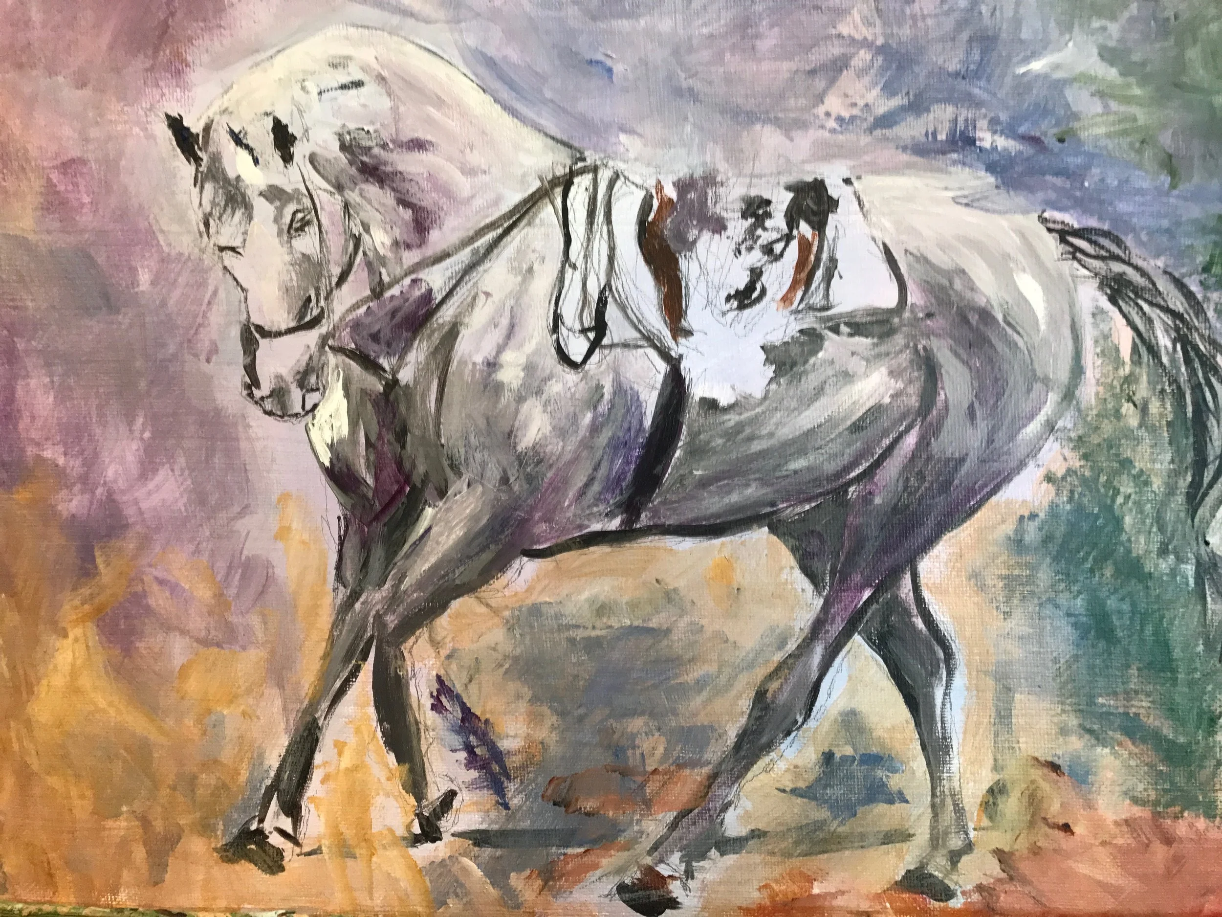 Grey horse cantering $400.jpg