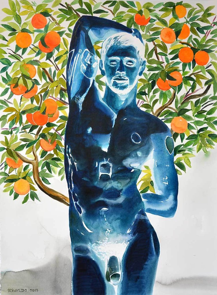 DAVID OF THE ORANGES