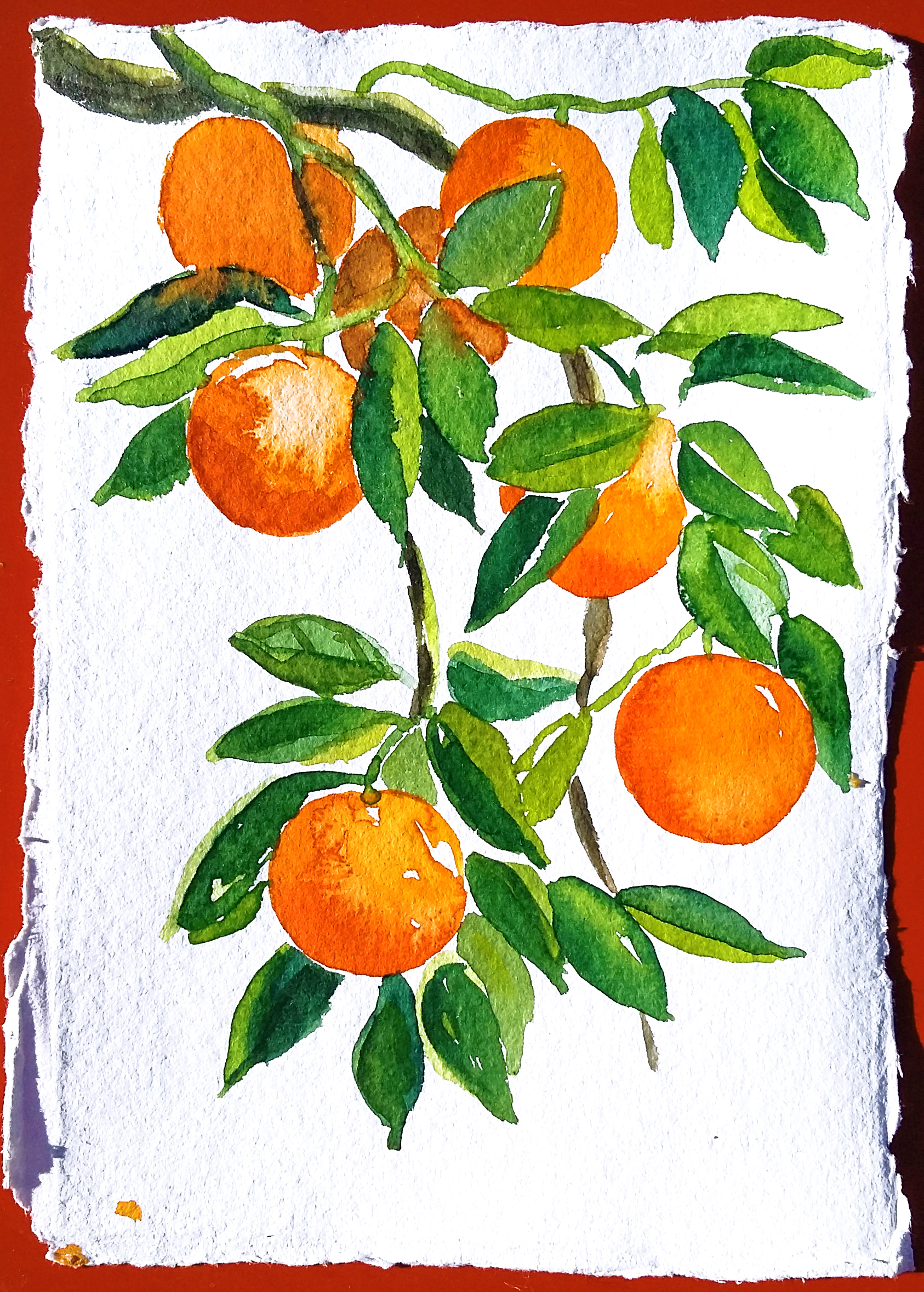 ORANGES