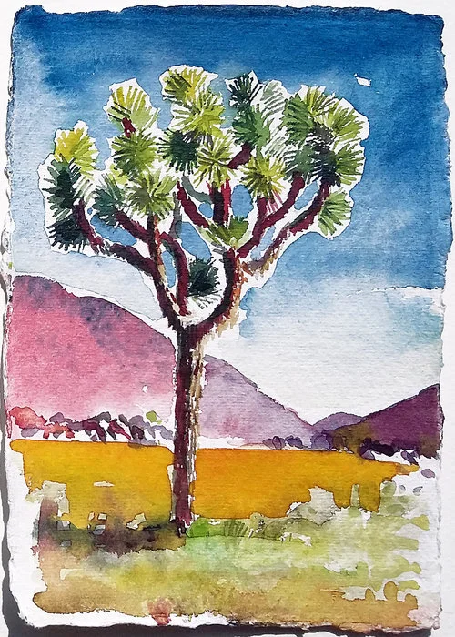 Joshua+Tree,+21x15+cm.jpg