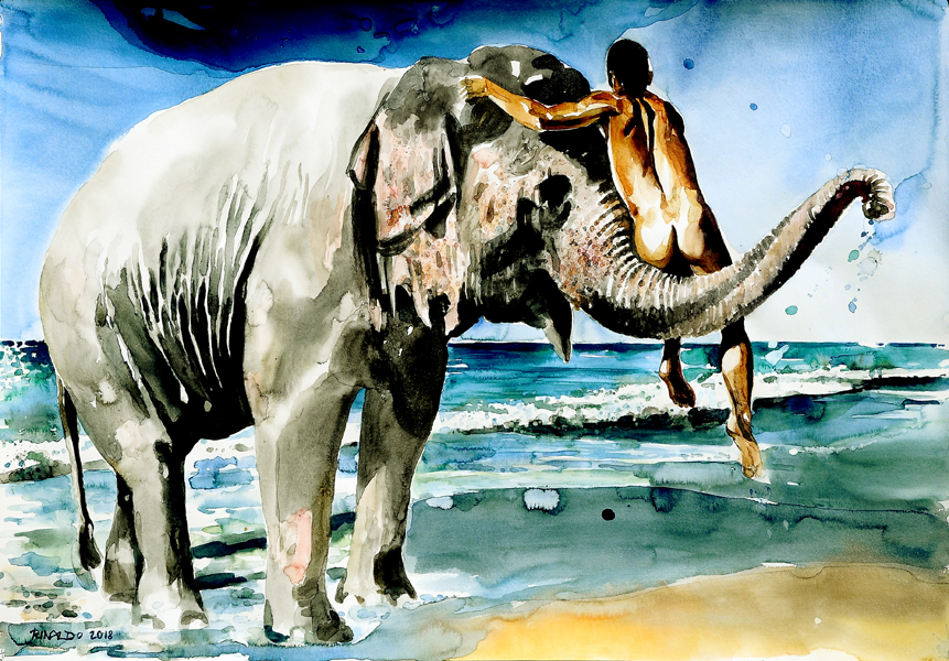 Elephant+Bath+2.jpg