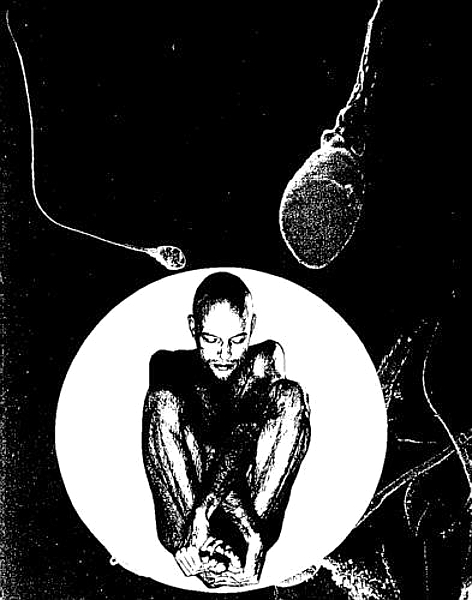 sperma+embryo.jpg