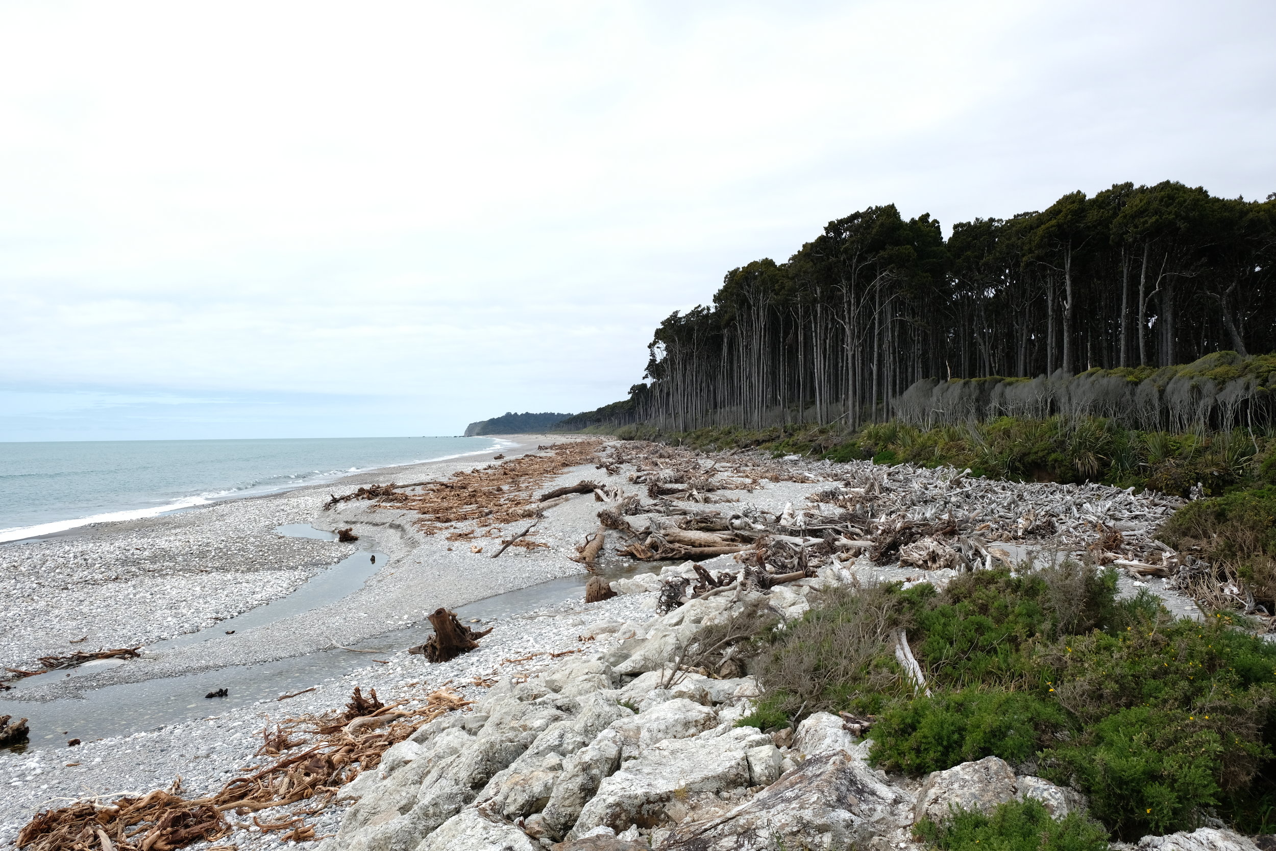 Bruce Bay, Tasman Sea