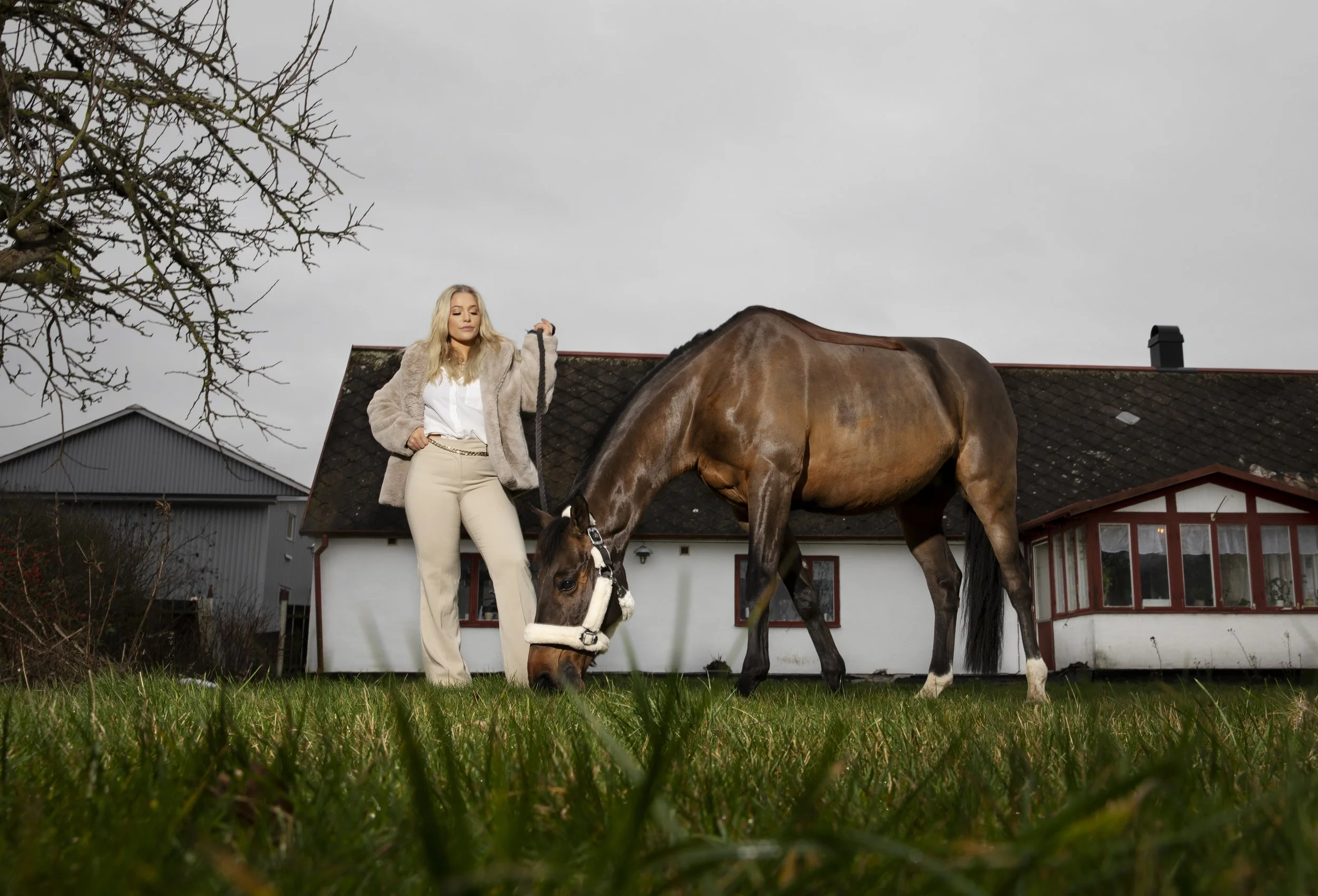 Klara Hammarström, artist