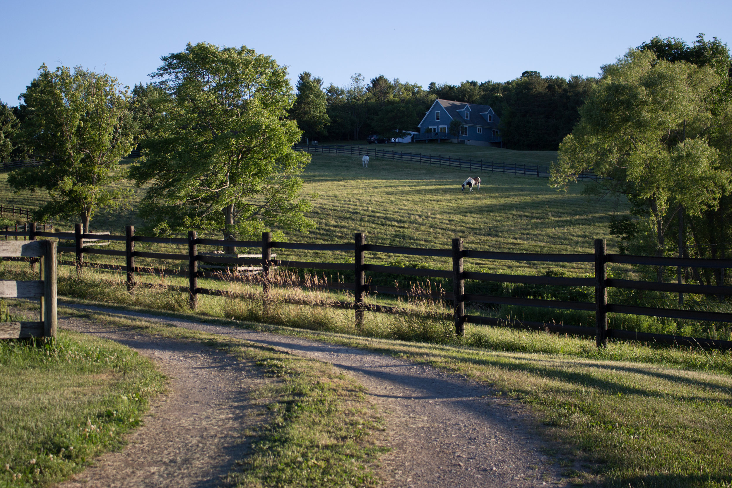  Daily turnout (or nightly, depending on time of year) into paddocks or pastures, with blanketing, boots, etc. taken care of by staff to meet your specific requirements.&nbsp; All turn-out pastures have run-in sheds, access to water (heated in winter