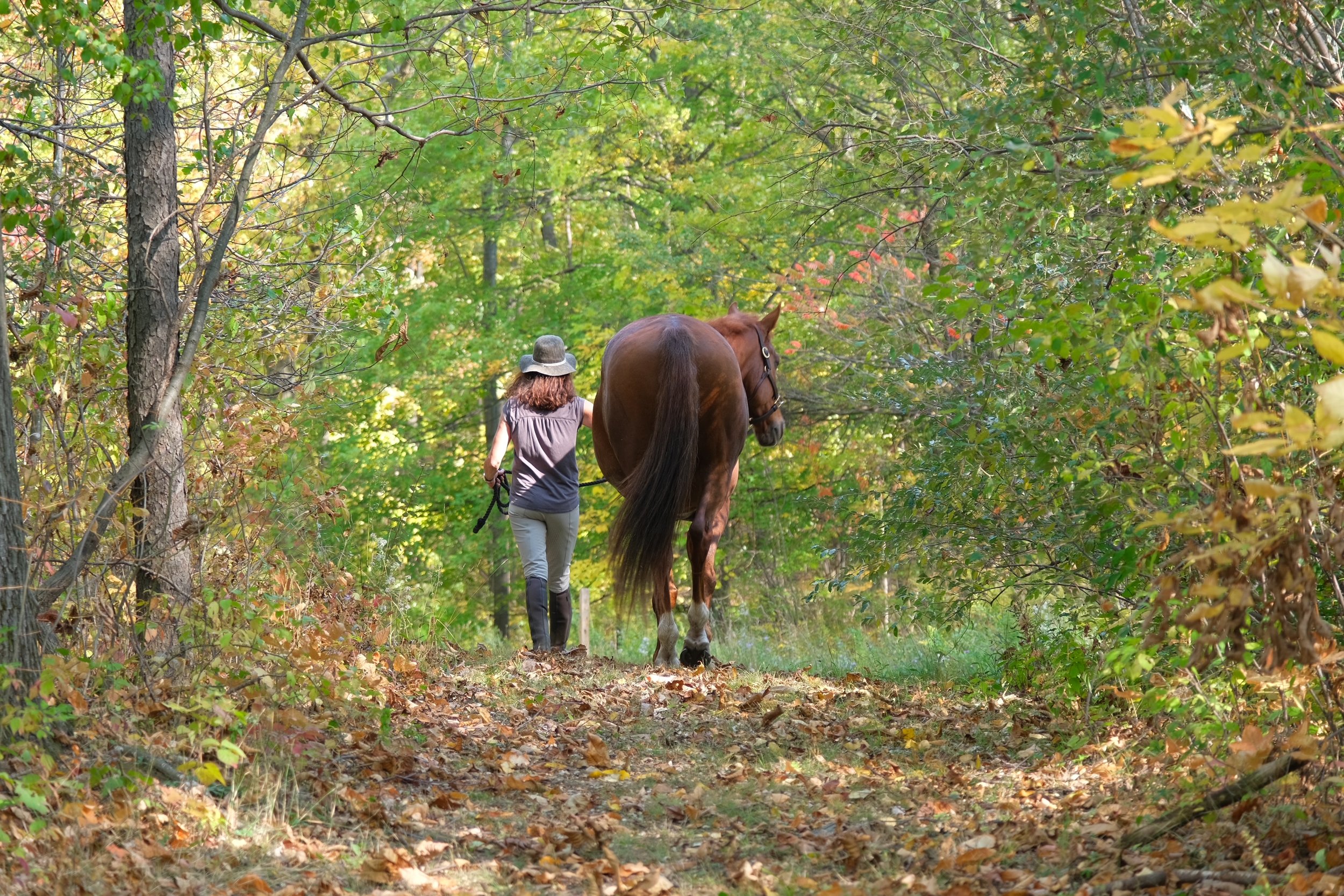  Our boarder, Trish, walking Doc on Trails 