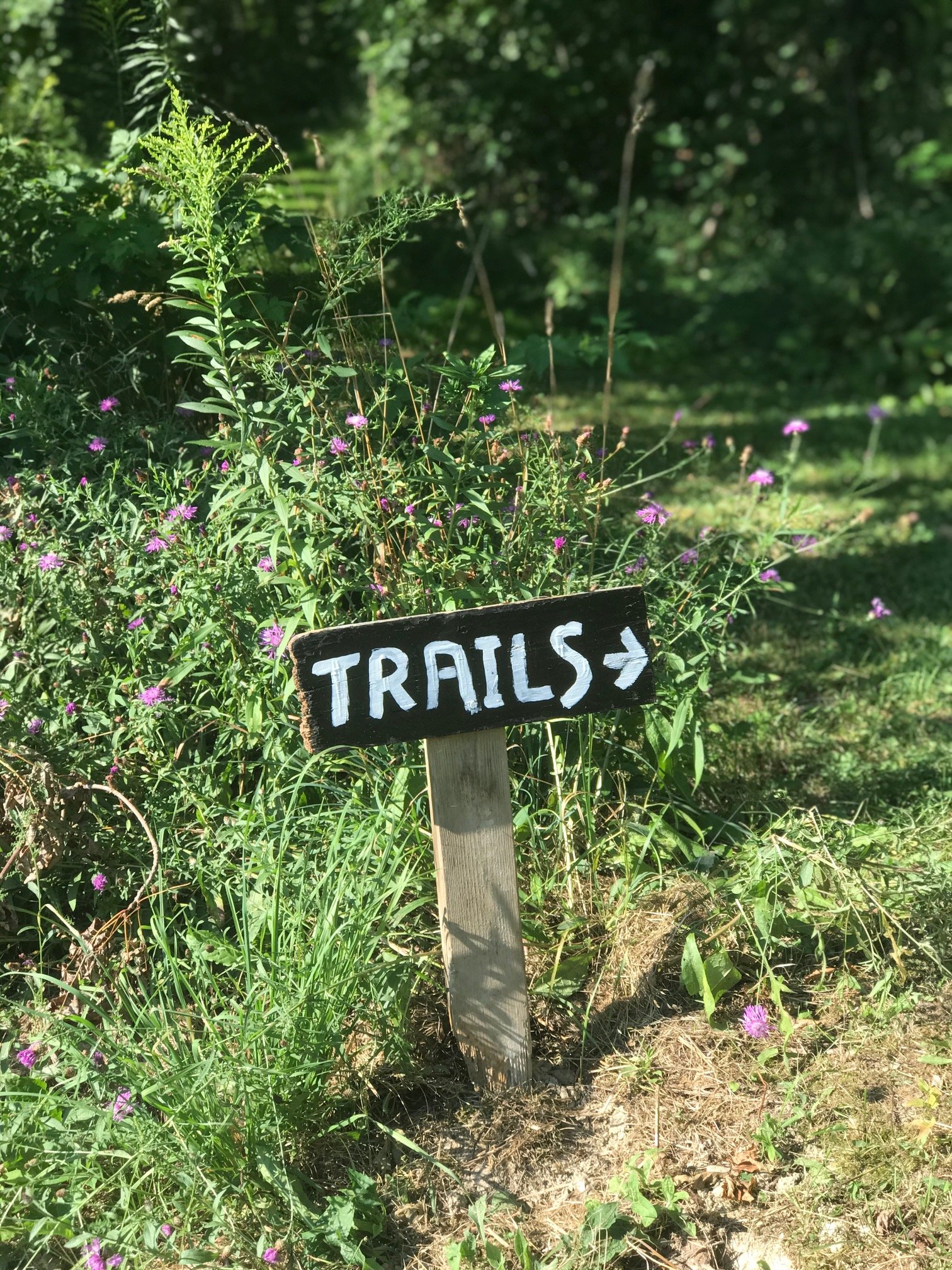  Trails Sign 