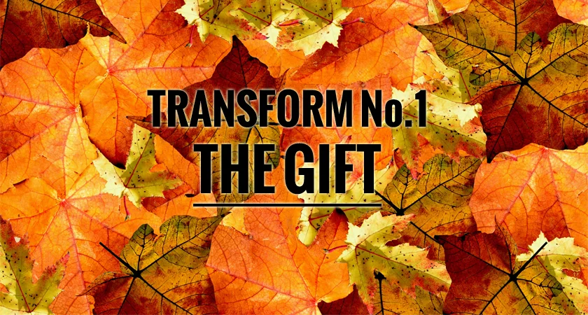 TRANSFORM 1. The Gift