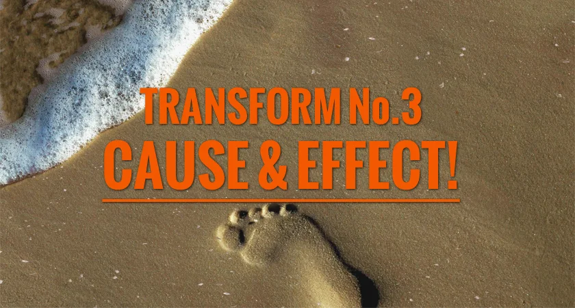 TRANSFORM 3. Cause & Effect