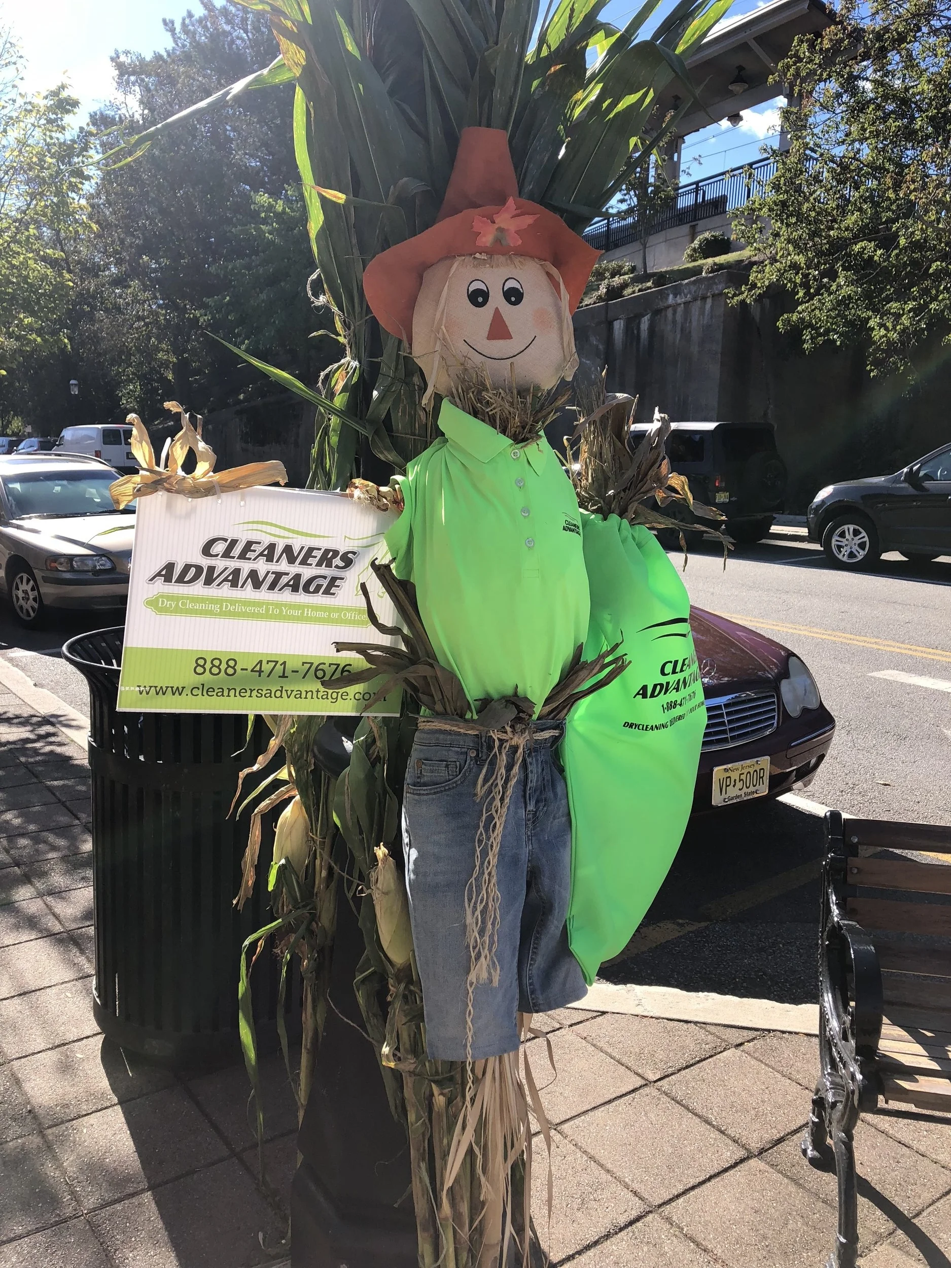 single scarecrow.jpg