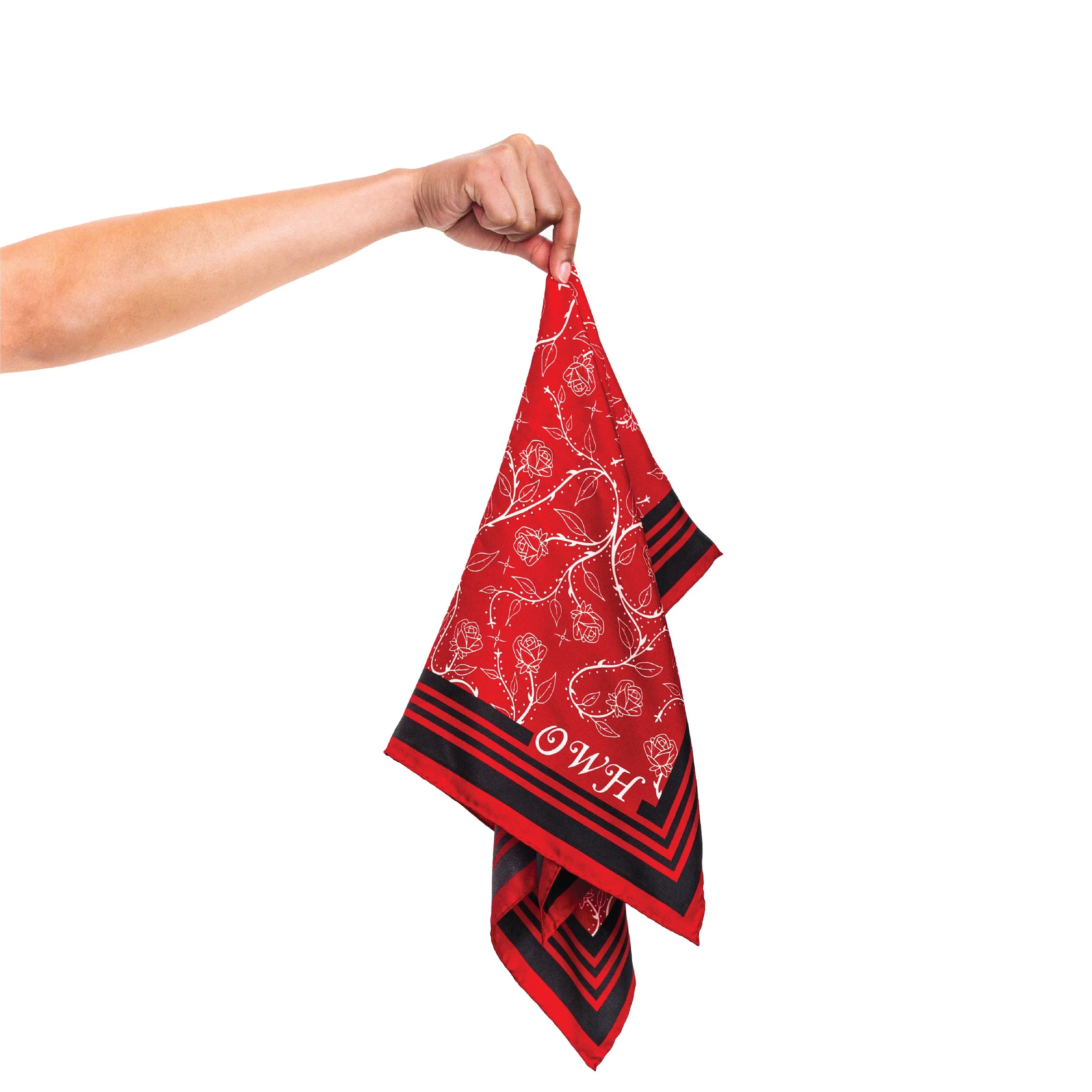 Hand Holding Bandana Red.JPG