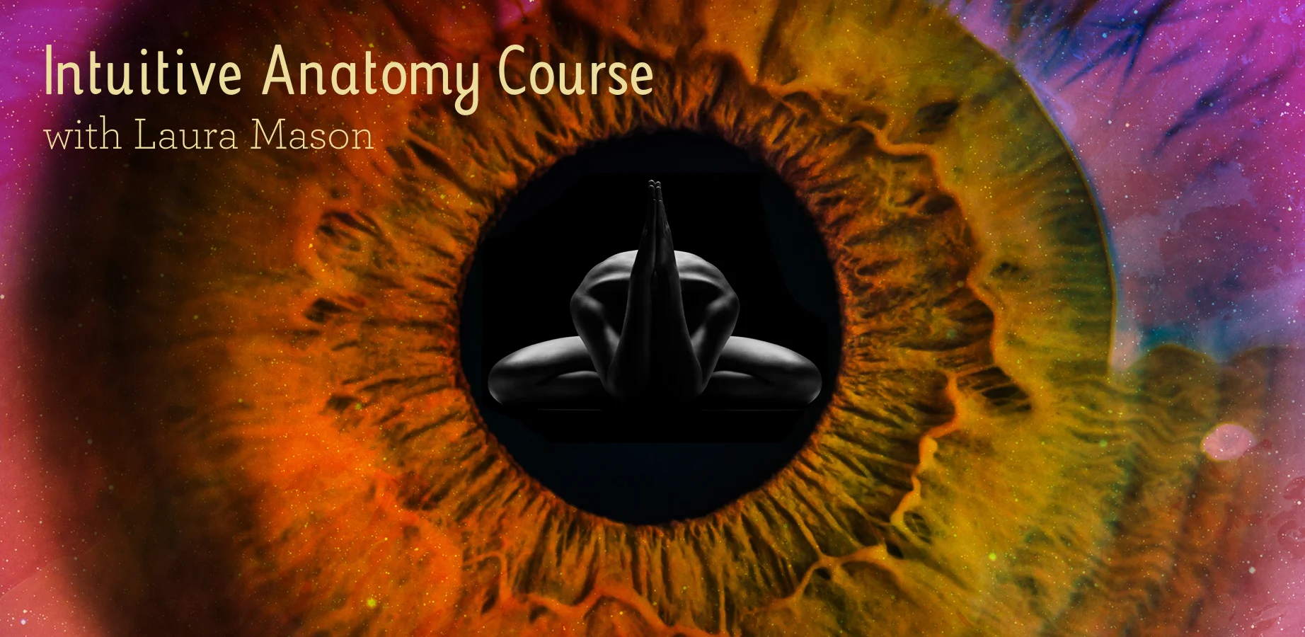 Laura Mason Web images-NEW Intuitive Anatomy .jpg
