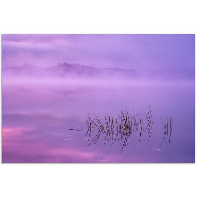 Ethereal Twilight. Near Kejimkujik National Park in Nova Scotia. .
.
.
#novascotia #igers_novascotia #raw_canada #twilight #landscapephotography #fineartphotography #visitnovascotia #explorenovascotia #wms_america #mist #lake