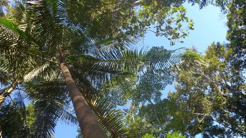 P1030574.jpg