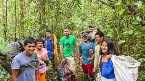 El equipo de Camino Verde más algunos voluntarios, cosechando ramas y hojas de canelón en 2016