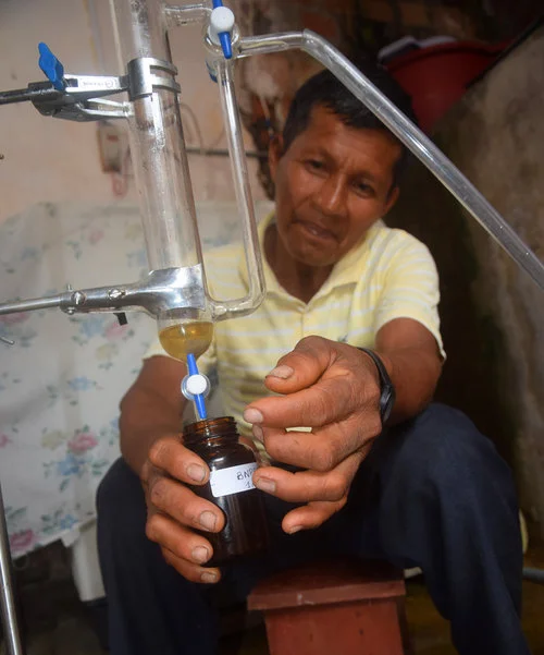 Productor de palo de rosa recolectando aceite esencial de una destilación. Foto gracias a Campbell Plowden