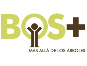bos logo.png