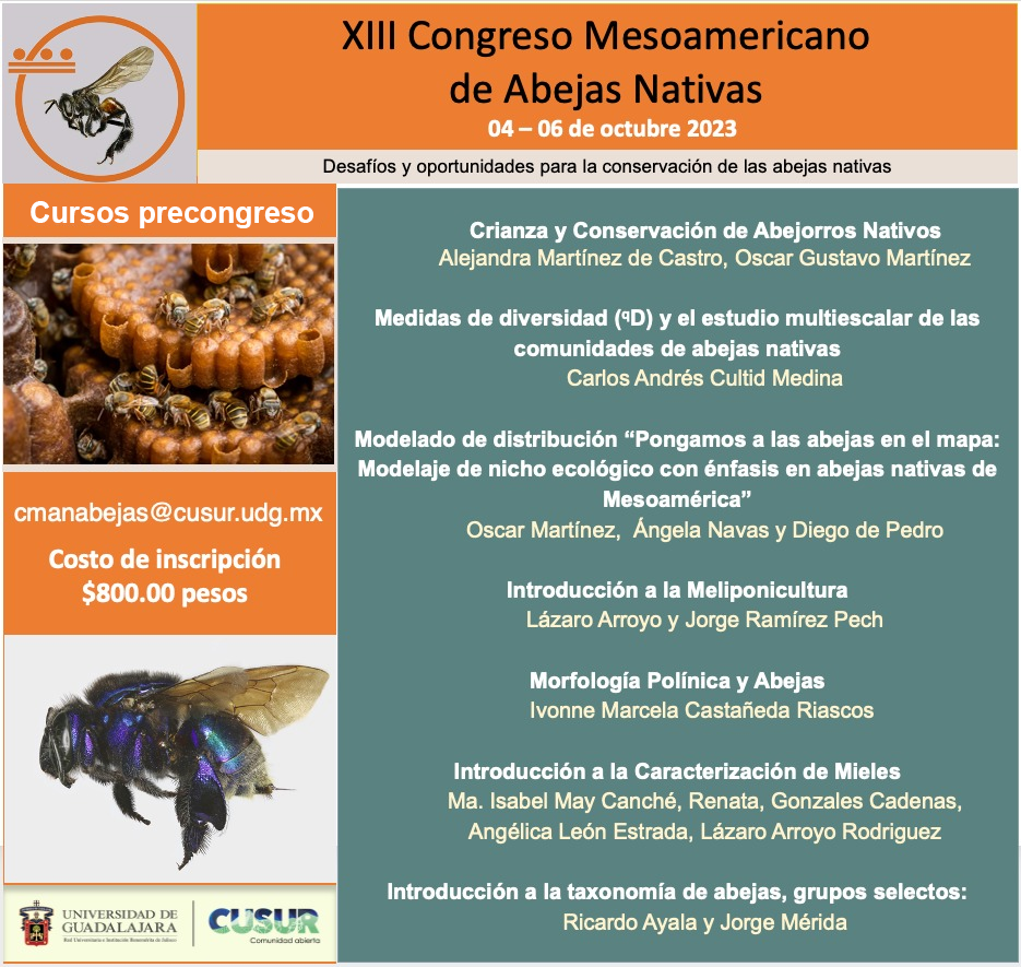 XIII Congreso Mesoamericano de Abejas Nativas.png