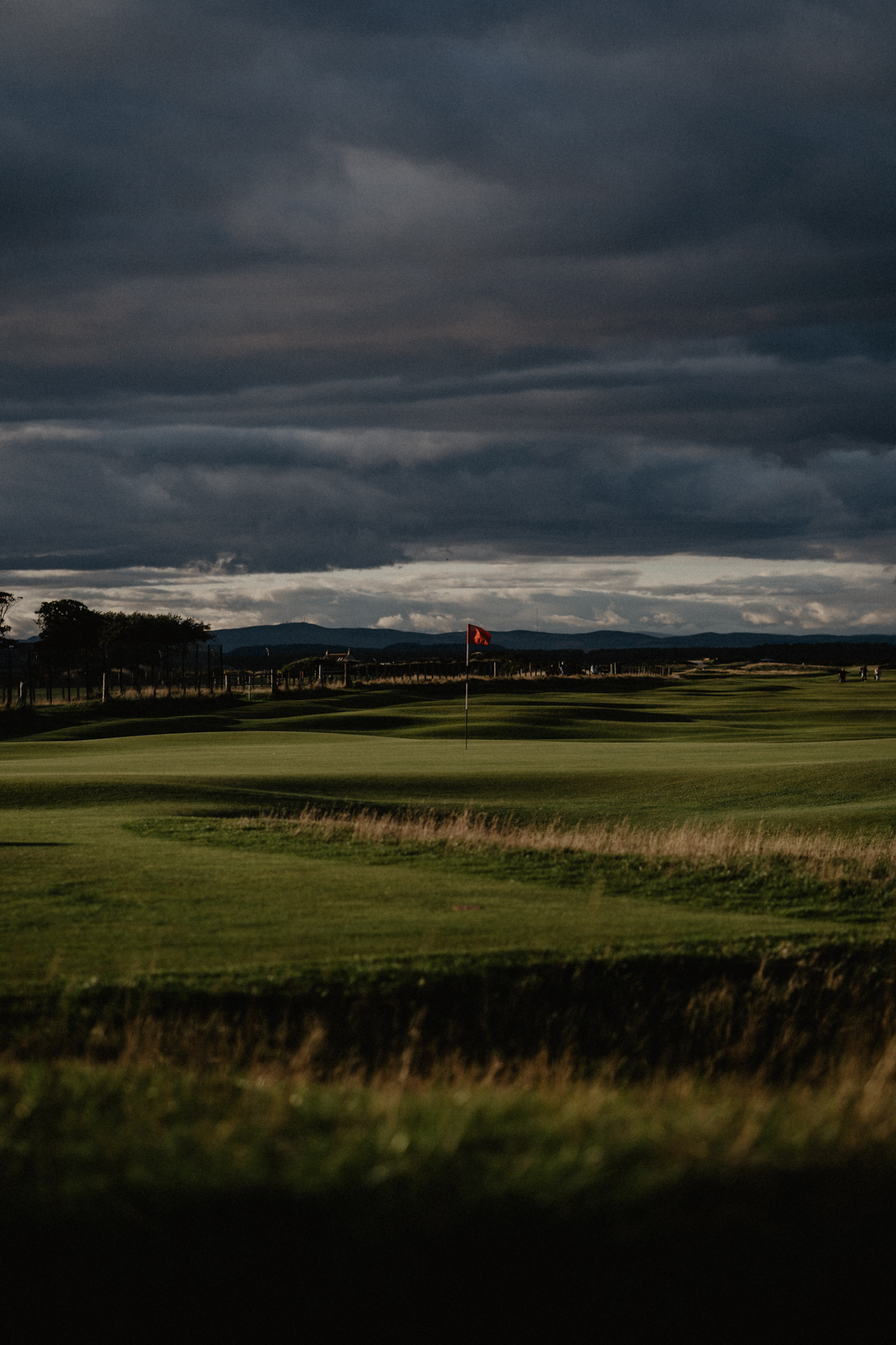 Scotland_OldCourse-02532.jpg