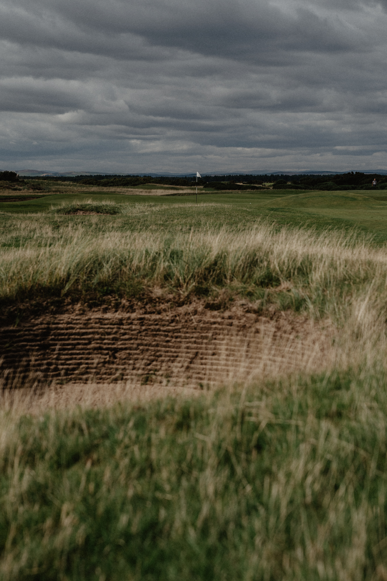 Scotland_OldCourse-01868.jpg