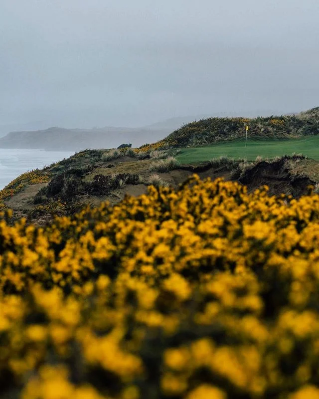 Catch you in October @bandondunesgolf - one of the best places in the world hands down. Even if I fell in the gorse I’d still love it. And even though I shot a million on PAC I still love it. Funny how that works.