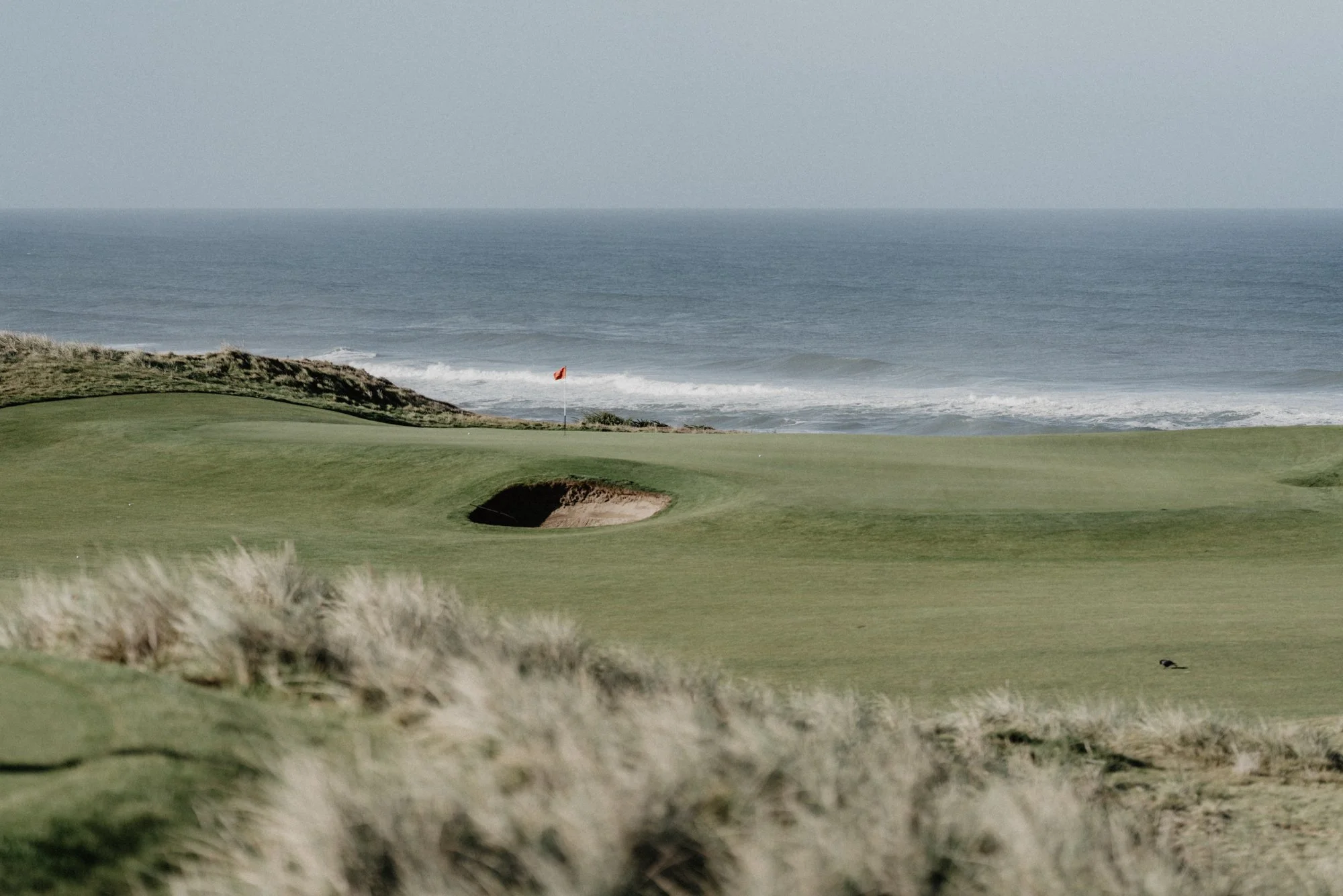 Hafer_BandonDunes_2019-09565.jpg