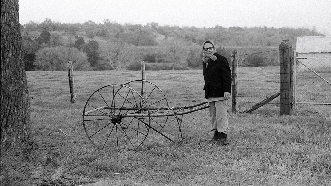 Farmhouse/Whorehouse an Artist Lecture by Suzanne Bocanegra starring Lili Taylor