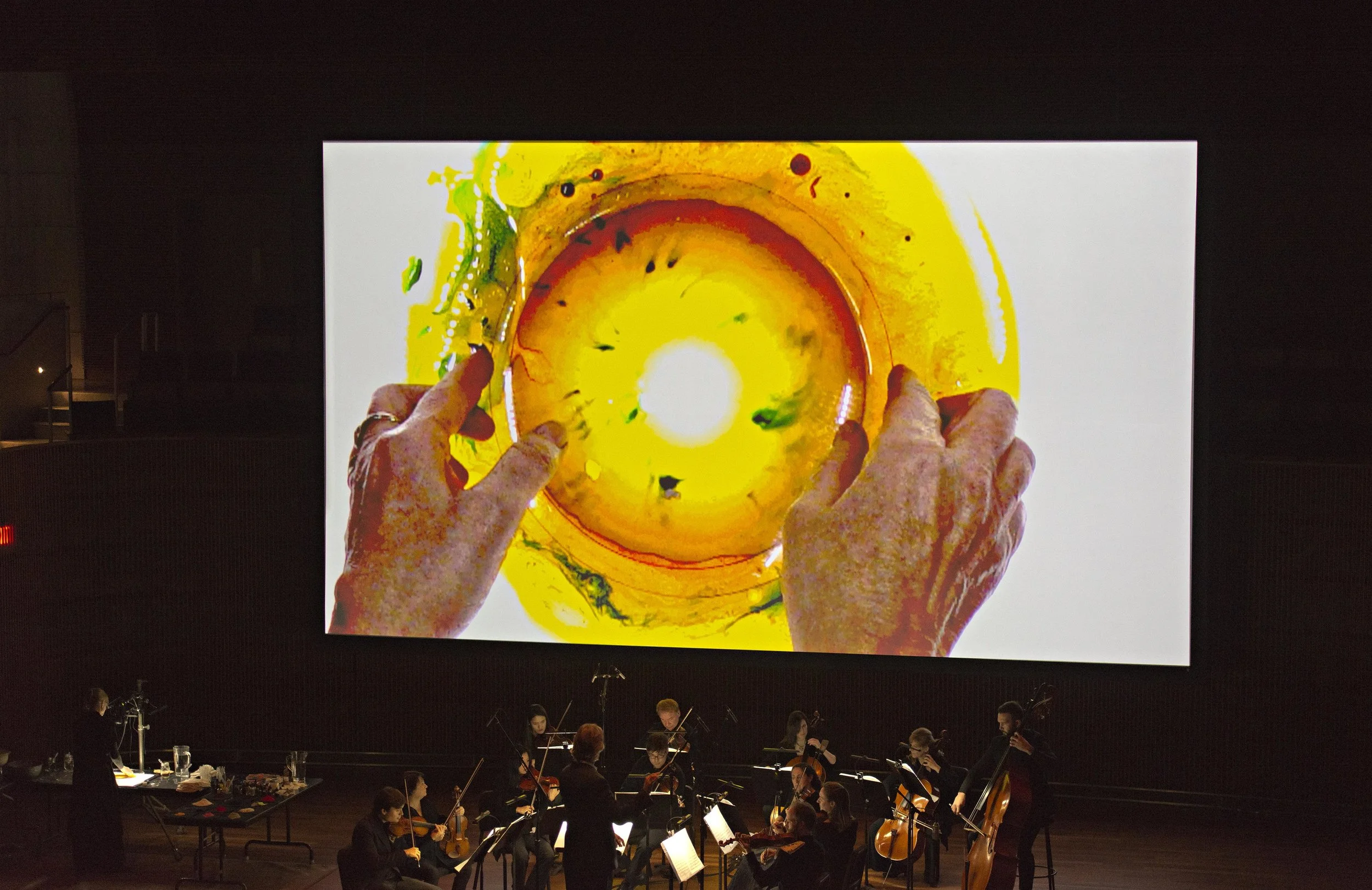 pa2016Lang_darker1203_020 copy.jpg