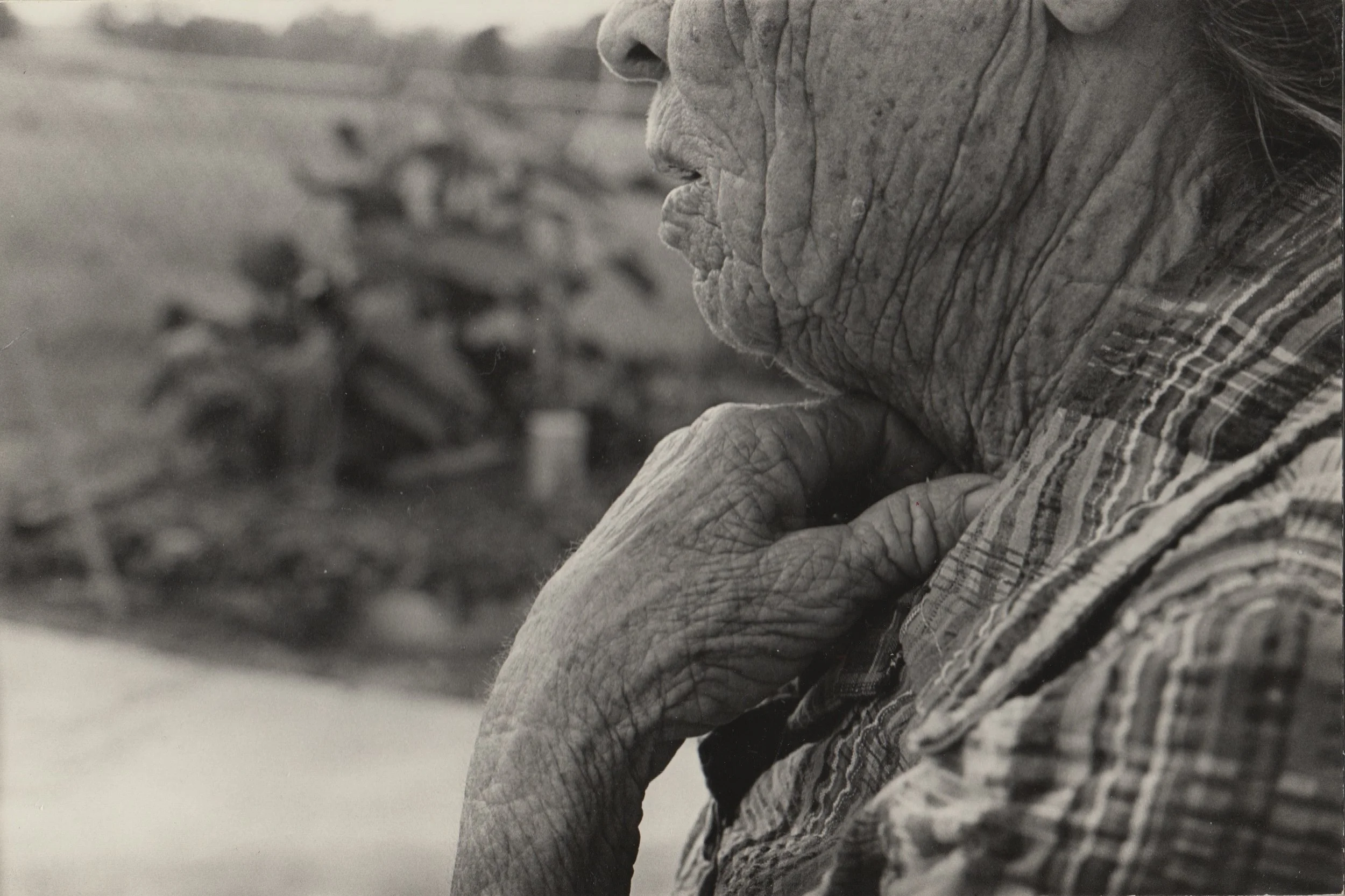 Farmhouse/Whorehouse an Artist Lecture by Suzanne Bocanegra starring Lili Taylor