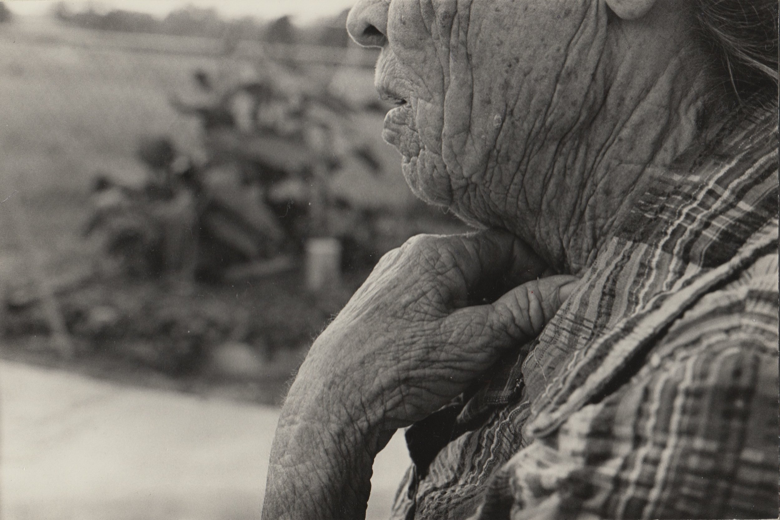 Farmhouse/Whorehouse an Artist Lecture by Suzanne Bocanegra starring Lili Taylor