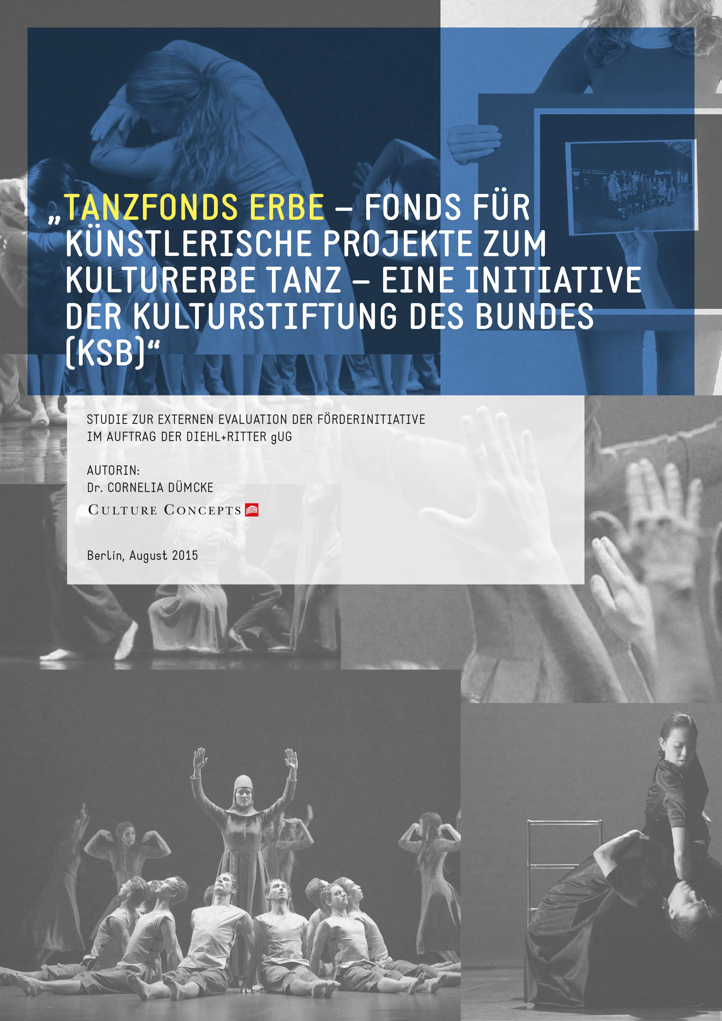2015_DB_Deutsch_Dümcke_Studie TANZFONDS ERBE.jpg