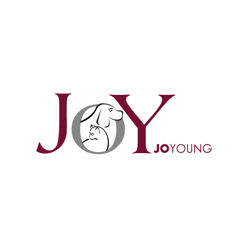 joyjoungLogo500.png