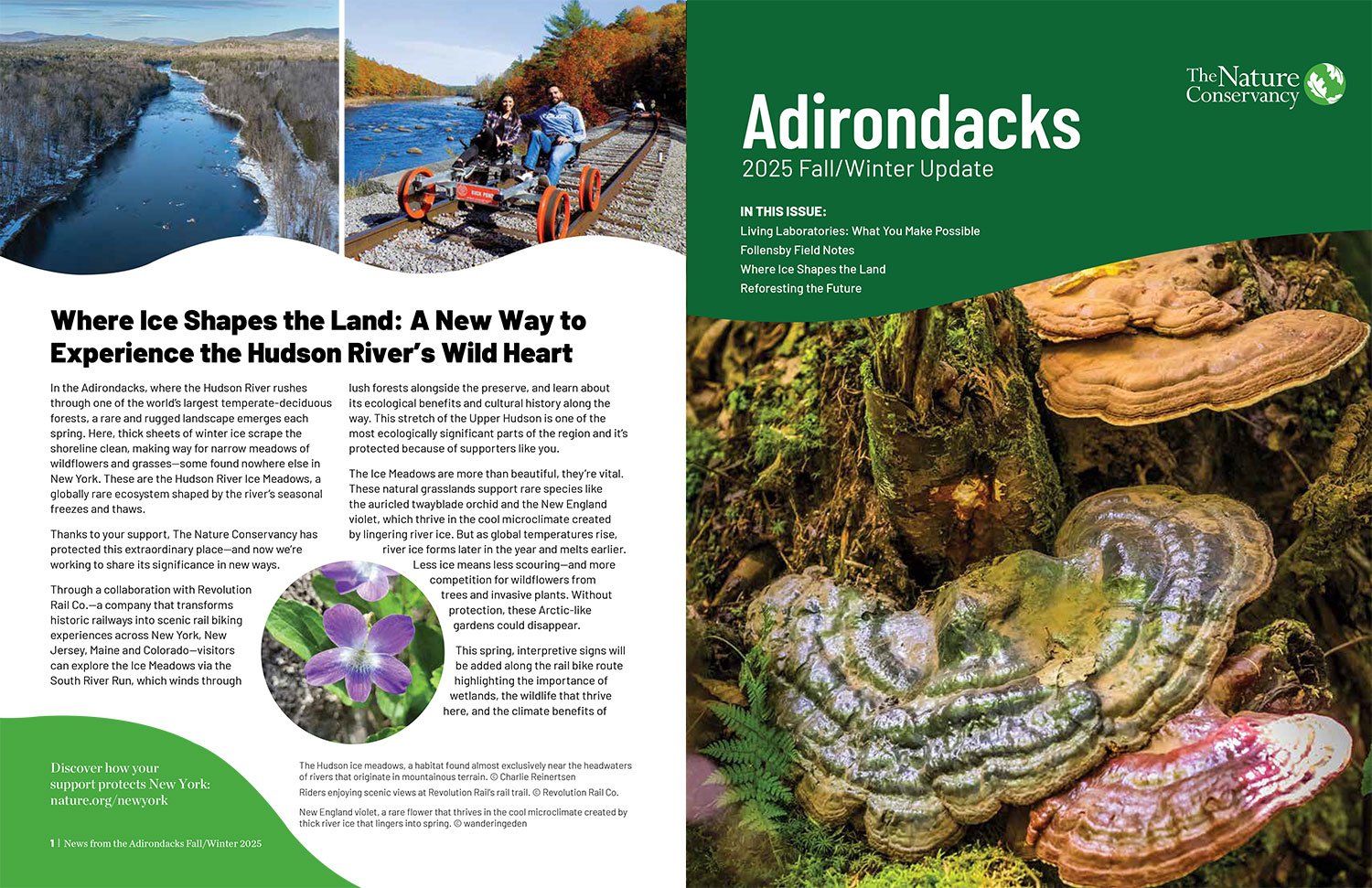 ADK-News-Fall-25.jpg
