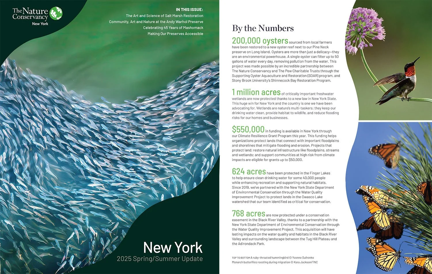 TNC-NY-Spring-25-News.jpg
