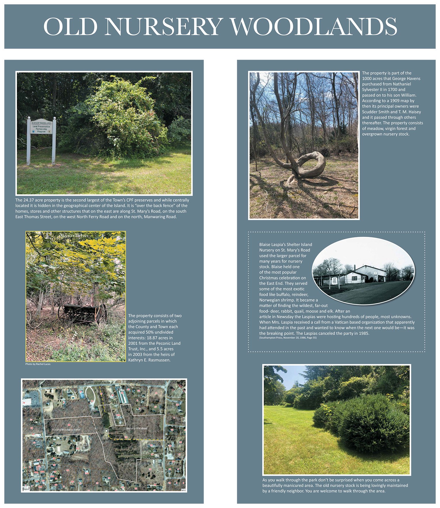 Old-Woodlands-Layout-web.jpg