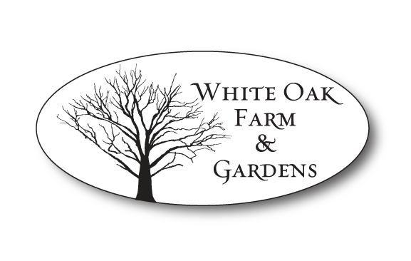 white-oak-logo.png