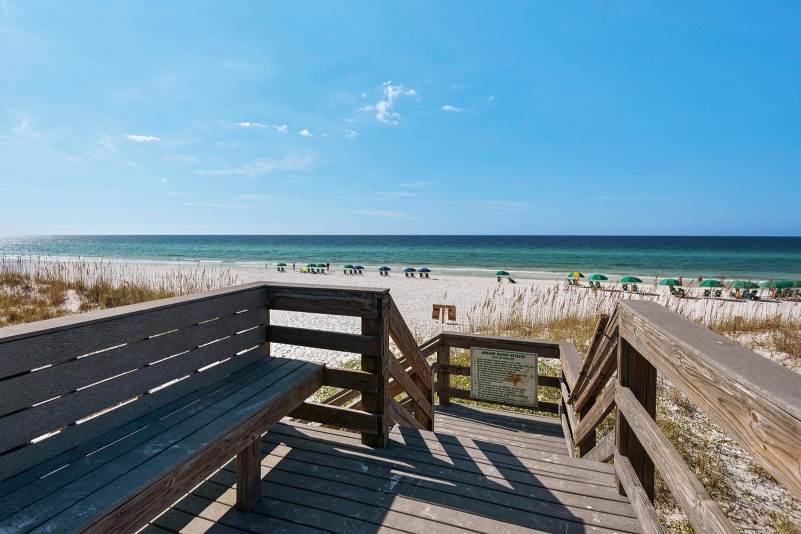 Screen Shot 2023-01-10 at 12.08.36 PM.jpg