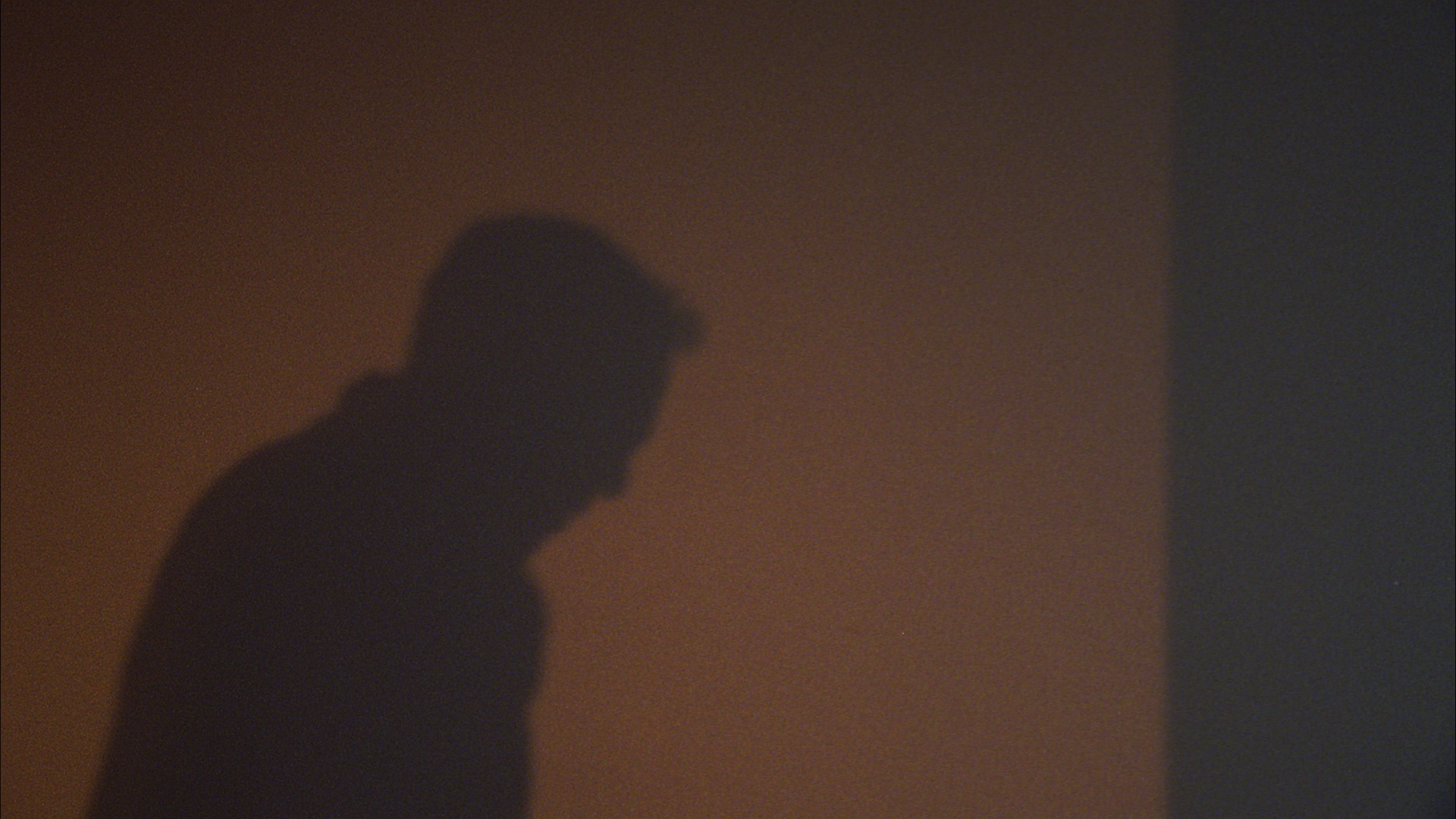shadow on the wall.png